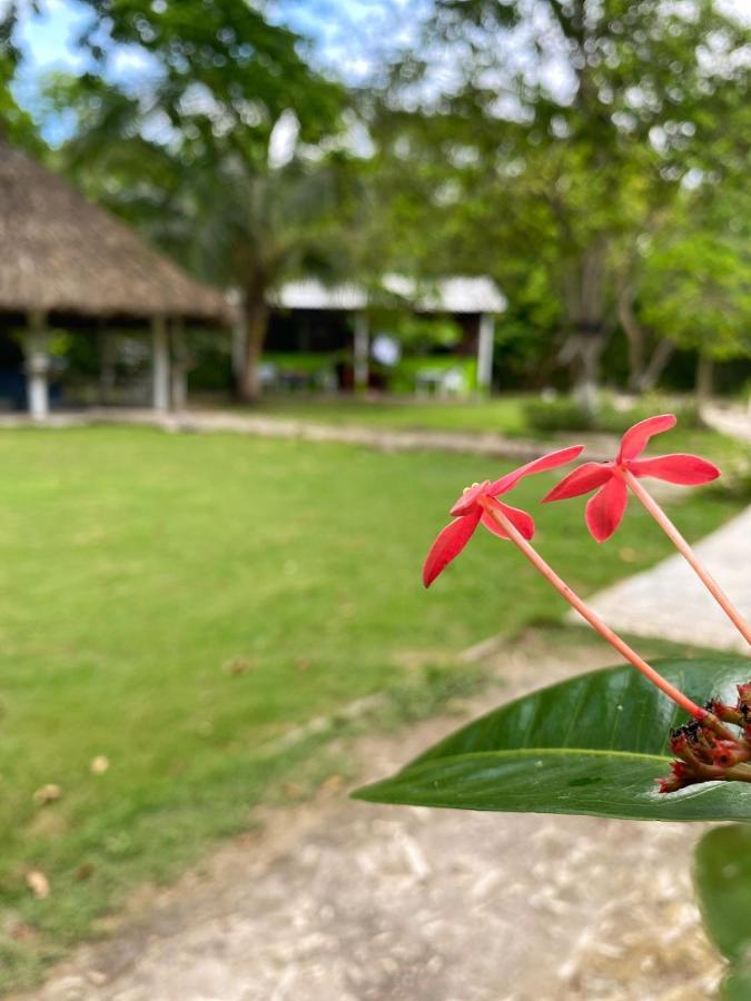 Eco Hotel Bosque Encantado Isla Grande  Esterno foto